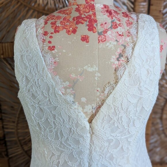DB STUDIO NWT Allover Lace V-Neck Sheath Wedding Dress size 16W - never altered - Picture 10 of 14